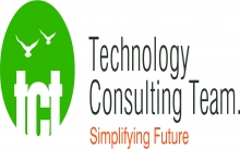 Technology Consulting Team